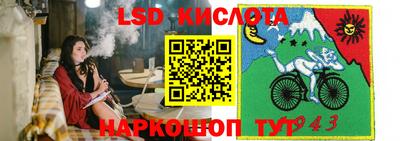 ПСИЛОЦИБИНОВЫЕ ГРИБЫ Бузулук