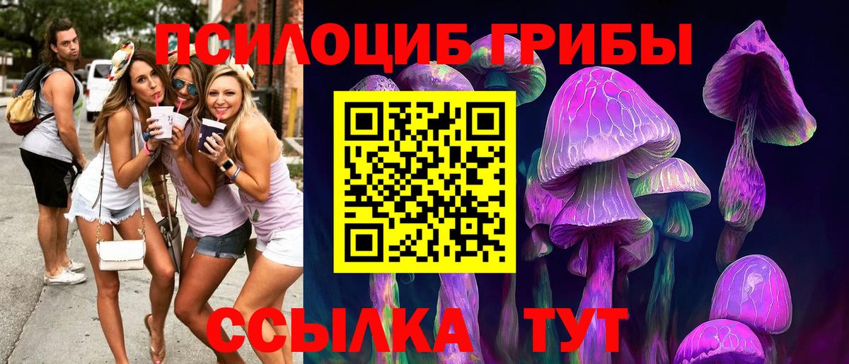 Галлюциногенные грибы Cubensis  Вход с VPN  Оренбург  Псилоцибиновые грибы ЛСД 